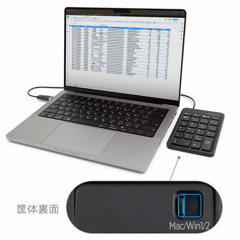 MOBO MOBO TenkeyPad2 Wired 22キー 有線 ［有線 /USB］ ブラック AM-NPW22-BK AM-NPW22-BK