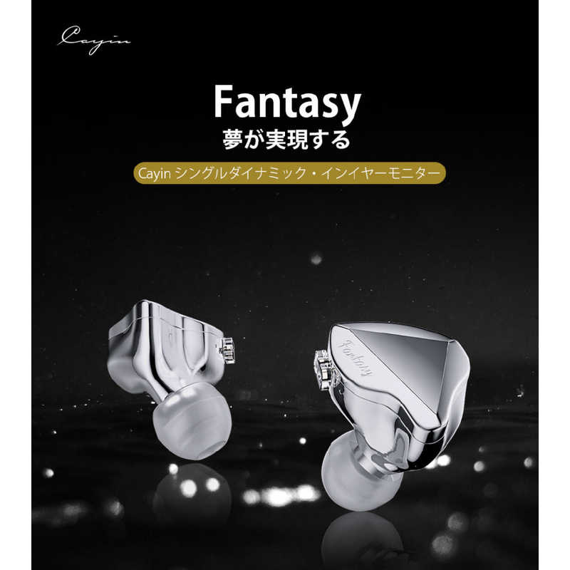 カイン カイン イヤホン カナル型 Fantasy シルバー [φ3.5mm ミニプラグ] YD01 YD01