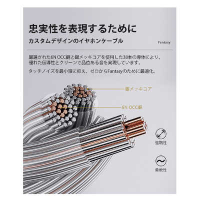 カイン イヤホン カナル型 Fantasy シルバー [φ3.5mm ミニプラグ] YD01