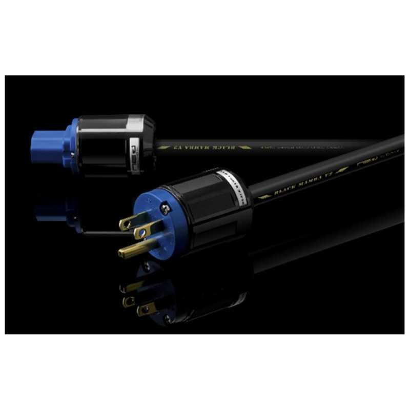 オヤイデ電気 電源ケーブル BLACKMAMBAアルファV2 の通販 | カテゴリ：オーディオ・ヘッドホン・楽器 | オヤイデ電気  家電通販のコジマネット - 全品代引き手数料無料