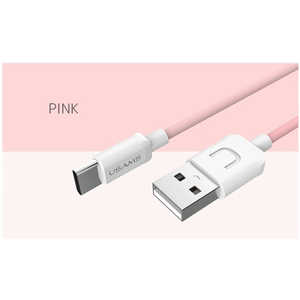 ビジョンネット USB Type-C ケーブル VNTYCPK