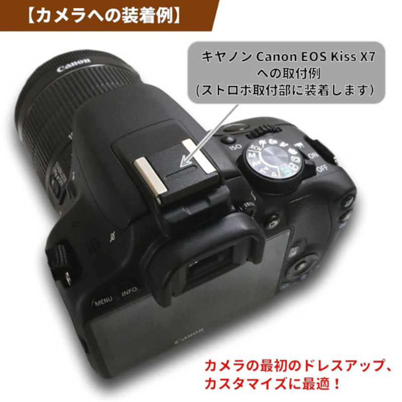 FFOTO FFOTO メタル ホットシューカバー For Canon ブラック「キヤノン 一眼レフ と EOS R、RP専用（EOS Kiss M等は非推奨）」 HSC02B HSC02B