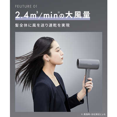 サロニア SALONIA スムースシャインドライヤー グレー SAL23209GR の