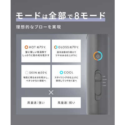 サロニア SALONIA スムースシャインドライヤー グレー SAL23209GR の