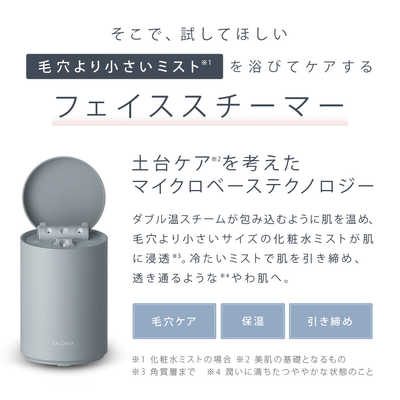 サロニア ピュアブライトスチーマー(ベージュ) ベージュ SAL22207BE の