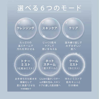 サロニア ピュアブライトスチーマー(ベージュ) ベージュ SAL22207BE の