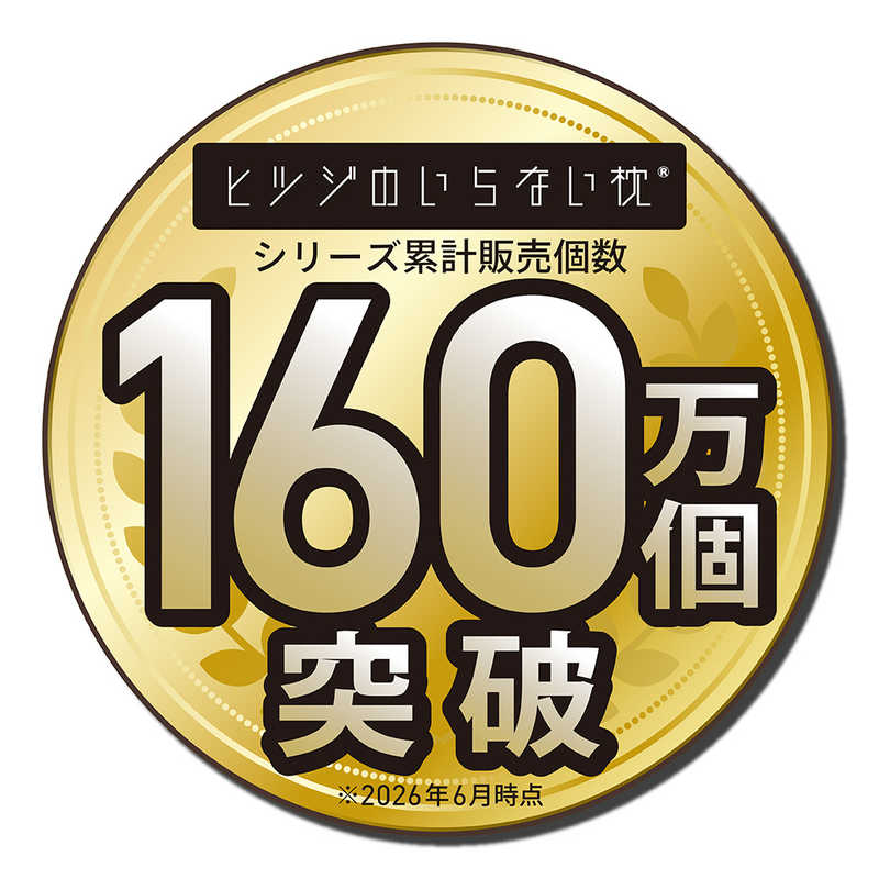 太陽 太陽 ヒツジのいらないマットレス SLEEPER ブラック シングルサイズ HTM003SG HTM003SG
