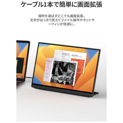 EWEI モバイルモニター WQXGA 16インチ LQ-160NW Amazon.co.jp: EHOMEWEI モバイルモニター WQXGA 16インチ 2K