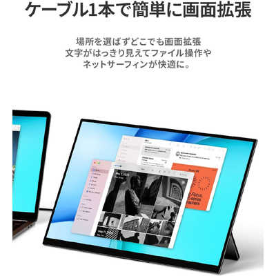 LANMEYJAPAN EHOMEWEI モバイルモニター 17インチ 2.5K EHOMEWEI ［17 