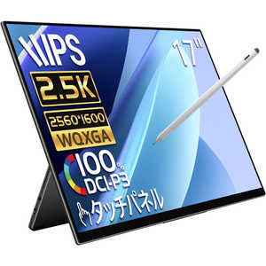 EHOMEWEI USB-C�ڑ� PC���j�^�[ ���o�C�����j�^�[ R�V���[�Y(�^�b�`�p�l��) [17�^ /WQXGA(2560�~1600�j /���C�h] RQ-170PW