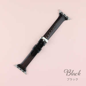 アイキューラボ Apple Watch 45/44/42mm クリア スリムベルト ブラック IQ-AW025B45-BK アイキューラボ Apple Watch 45/44/42mm クリア スリムベルト ブラック IQ-AW025B45-BK
