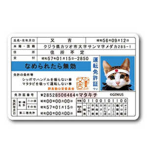 ゼネラルステッカー ミニステッカー なめ猫 免許証 LCS-1427 ゼネラルステッカー ミニステッカー なめ猫 免許証 LCS-1427