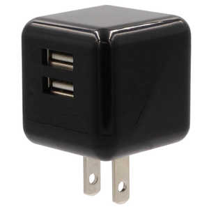 PROTOSTAR USB-A 2口ACアダプター ACAA001BK PROTOSTAR USB-A 2口ACアダプター ACAA001BK