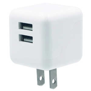 PROTOSTAR USB-A 2口ACアダプター ACAA001WH PROTOSTAR USB-A 2口ACアダプター ACAA001WH