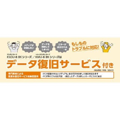 KIOXIA キオクシア microSDXCカード EXCERIA (Class10/128GB