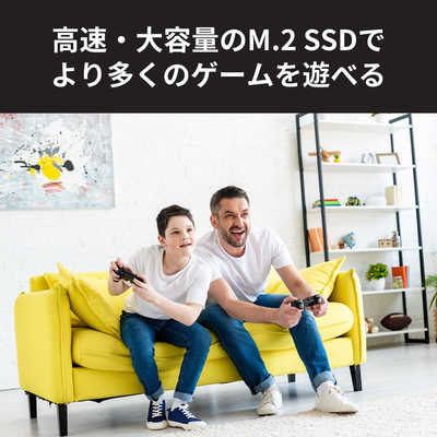 KIOXIA キオクシア ヒートシンク付き内蔵SSD SSD-CK1.0N4HS の通販