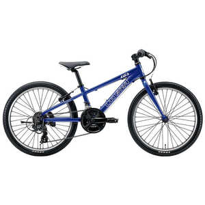 ルイガノ 22型 子供用自転車 J22(LGブルー/外装18段変速） 【組立商品につき返品不可】 J22