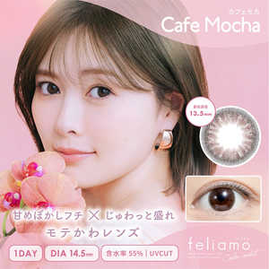 Pia フェリアモ ワンデー カフェモカ(BC8.6 / PWR-0.75 / DIA14.5)(10枚入)