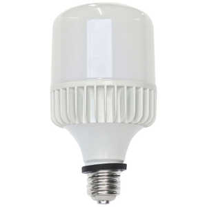 եƥŵ եƥ ȥ饤LEAD LEDŵ E39 100/200V  Х饹ȥ쥹500W SH40TLTR
