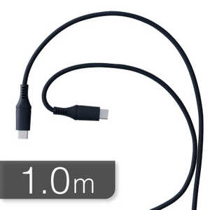 ORIGINALBASIC PDΉ Type-C to Type-CP[u 1m VR[f 炩 Rێdl SIAAF ubN OB-UCS2CC100-K