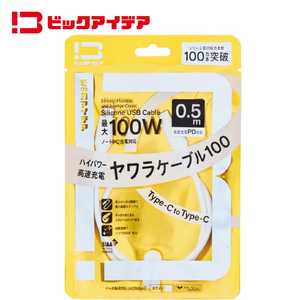 ビックアイデア USB-C ⇔ USB-Cケーブル ［充電 / 転送 / 0.5m / PD100W / 480Mbps］ (SIAA認証) ［USB-C ⇔ USB-C］ ホワイト BIT-UC100S1CC050W