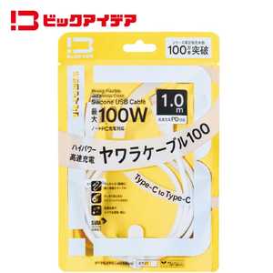 ビックアイデア USB-C ⇔ USB-Cケーブル ［充電 / 転送 / 1.0m / PD100W / 480Mbps］ (SIAA認証) ［USB-C ⇔ USB-C］ ホワイト BIT-UC100S1CC100W