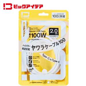 ビックアイデア USB-C ⇔ USB-Cケーブル ［充電 / 転送 / 2.0m / PD100W / 480Mbps］ (SIAA認証) ［USB-C ⇔ USB-C］ ホワイト BIT-UC100S1CC200W