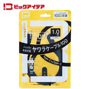 ビックアイデア USB-C ⇔ USB-Cケーブル ［充電 / 転送 / 1.0m / PD100W / 480Mbps］ (SIAA認証) ［USB-C ⇔ USB-C］ ブラック BIT-UC100S1CC100K