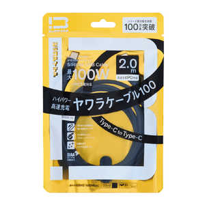 ビックアイデア USB-C ⇔ USB-Cケーブル ［充電 / 転送 / 2.0m / PD100W / 480Mbps］ (SIAA認証) ［USB-C ⇔ USB-C］ ブラック BIT-UC100S1CC200K