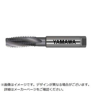  ɥ饤ùѥѥѥ륿å HDISPM18X1.5