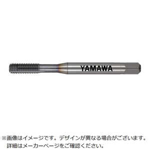  硼ȥեȥ륯쥹륿å SCTLRZG5M2.6X0.451P
