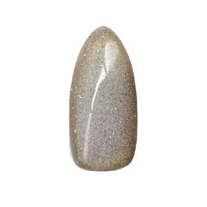 エスアイシー MGEL フラッシュ×マグネットネイル 