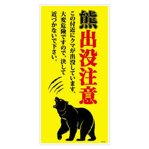 O[NX FovӕW c KSC-H03-300x600 KSC-H03_300x600