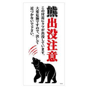 O[NX FovӕW c KSC-H04-300x600 KSC-H04_300x600