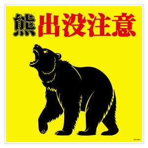 O[NX FovӕW300p KSC-300-A