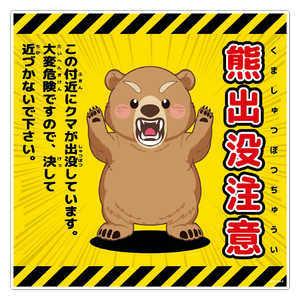 O[NX FovӕW300p KSC-300-C