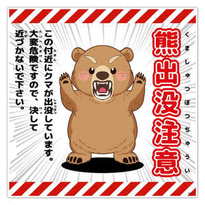 O[NX FovӕW450p KSC-450-D