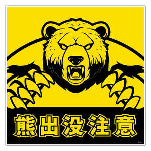 O[NX FovӕW450p KSC-450-E