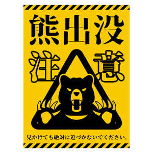 O[NX FovӕW cPET KSC-H01P-225x300 KSC-H01P_225x300