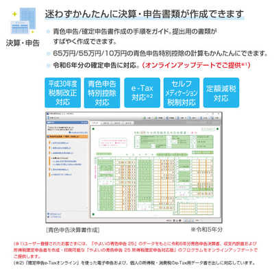 弥生 やよいの青色申告 25 通常版 令和6年分確定申告対応 YUAU0001 の