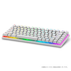 DELL ǥ Alienware Pro 磻쥹 ߥ ܡ [2.4GHz磻쥹/Bluetooth/USBͭ/˥ ᥫ˥/Ѹ] ʥ饤(Сۥ磻)