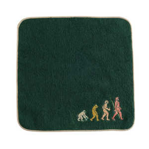 GREENFLASH STUDY HOLIC ^InJ` iw ST-302