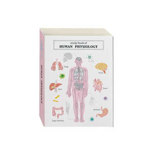 GREENFLASH STUDY HOLIC XeBbL[ubN lސw GreenFlash ST-316