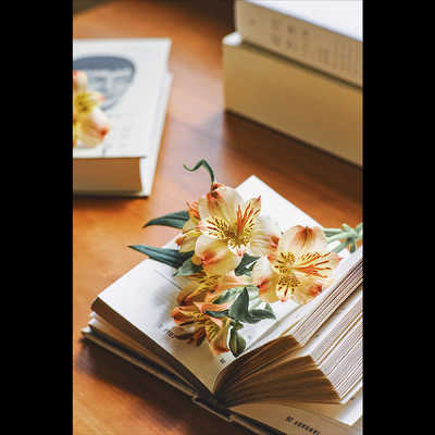 SGIMAGE カメラレンズ SG-image 50mm F1.4 富士フイルムXマウント APS