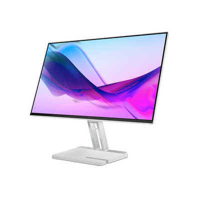 Lenovo L24i-4A フラットパネルモニター 本体 Monitor estetic modern Lenovo L24i-4A de 23,8