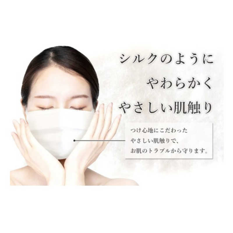 サムライワークス サムライワークス 日本の品質マスク 10Stars 10枚入り sw-mask-141  