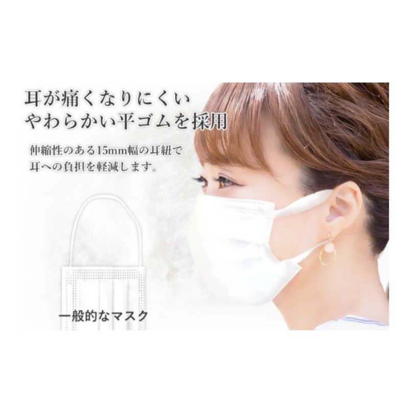 サムライワークス サムライワークス 日本の品質マスク 10Stars 10枚入り sw-mask-141  
