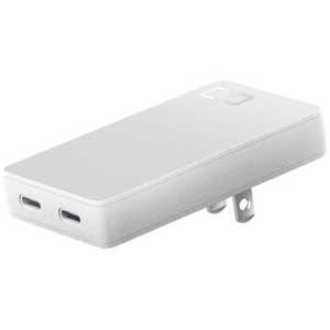 CIO PD対応AC充電器 USB Type-C×2ポート GaN [2ポート /USB Power Delivery対応 /Smart IC対応 /GaN(窒化ガリウム) 採用] CIOG67W2CSWH