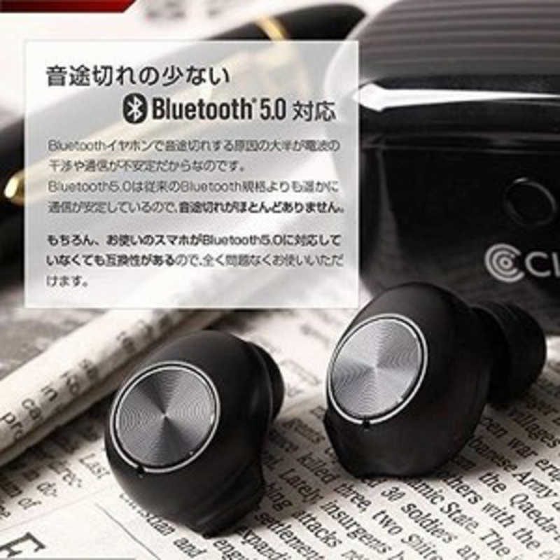 CIO CIO Bluetooth 5.0 防水 完全ワイヤレスイヤホン ワイヤレス充電対応 ノイズキャンセリング BT-EPQIA9 ブラック BT-EPQIA9 ブラック