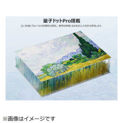 TCL 液晶テレビ アートテレビ [ 75V型 /4Kチューナー内蔵 / YouTube